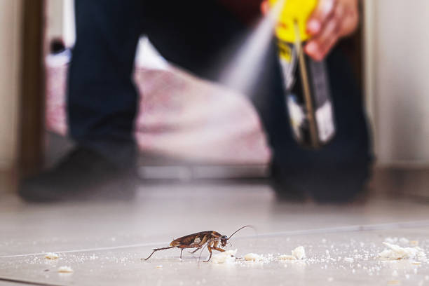 Flea Control Services in Stanfield, OR